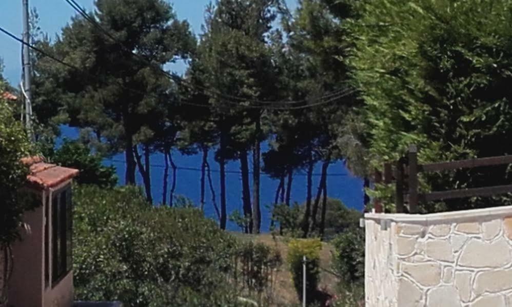 Villa Minthi à Possidi Extérieur photo
